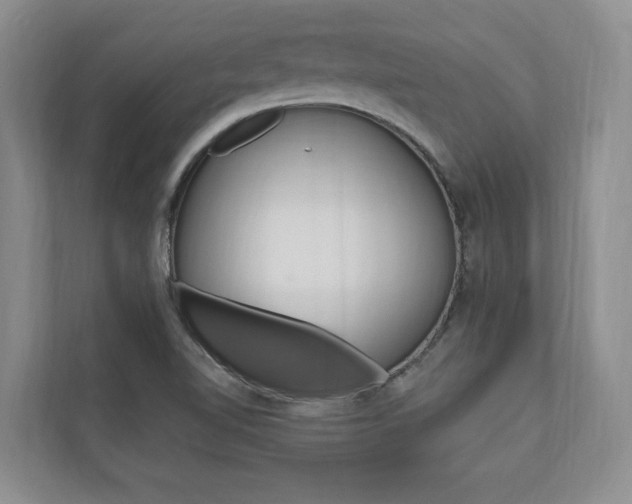 X0000110741510200906150918