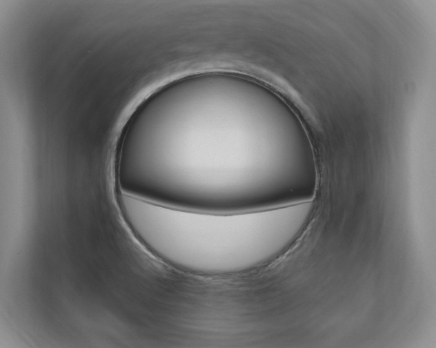 X0000110741512200906150918