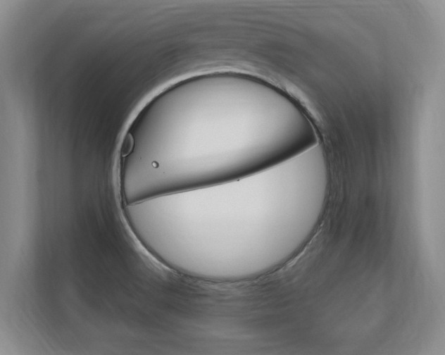 X0000110741516200906150918