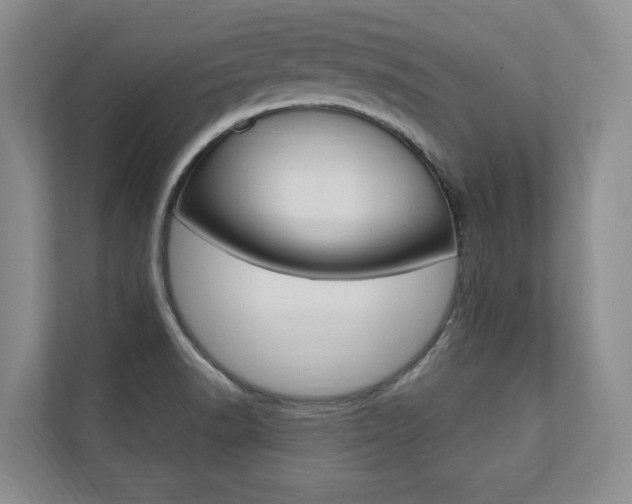X0000110741518200906150918