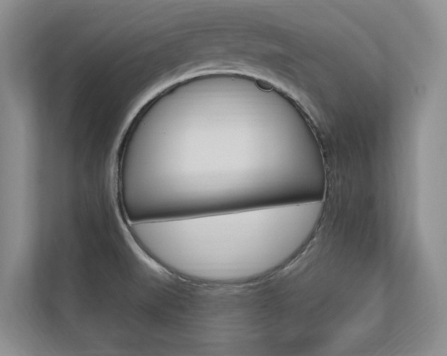 X0000110741519200906150918