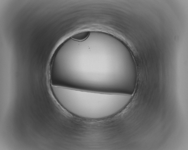 X0000110741522200906150918