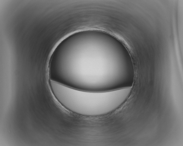 X0000110741524200906150918