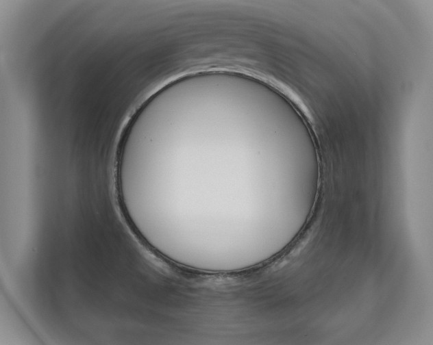X0000110741525200906150918
