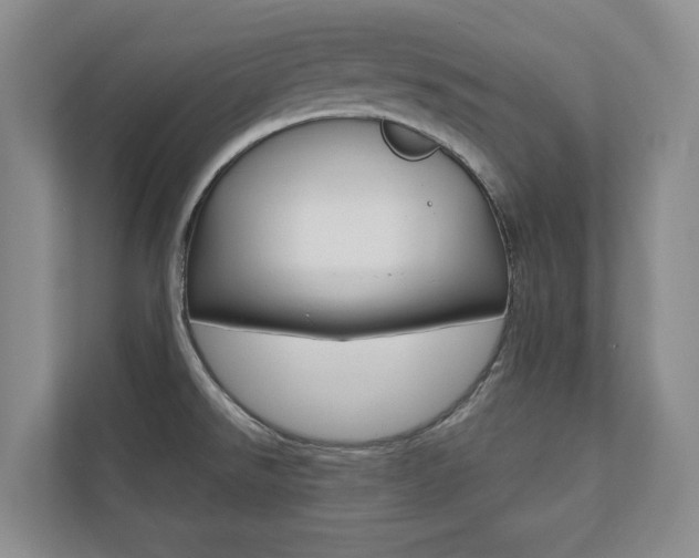 X0000110741526200906150919