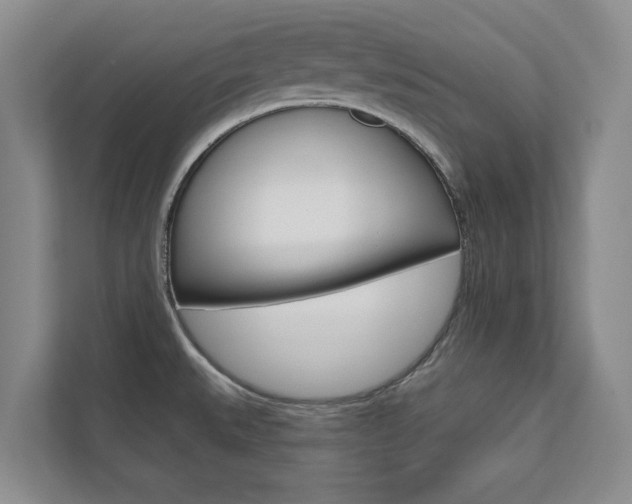 X0000110741527200906150919