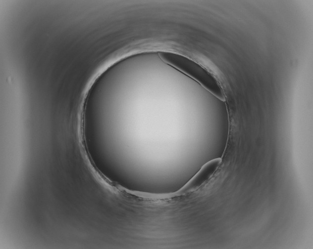 X0000110741528200906150919