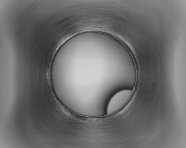 X0000110741529200906150919