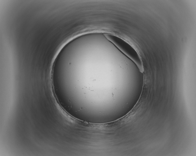 X0000110741532200906150919