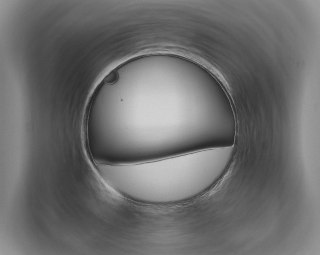 X0000110741533200906150919