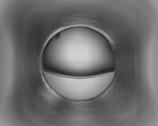X0000110741534200906150919