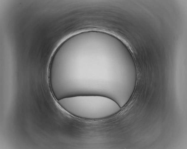 X0000110741535200906150919