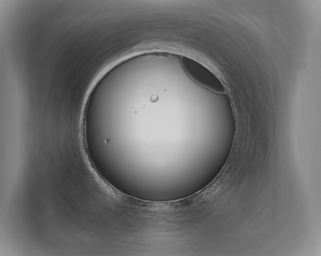 X0000110741536200906150919