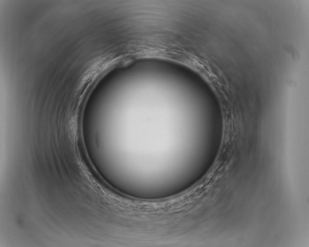 X0000110740002200906151113