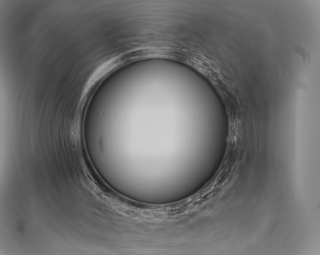 X0000110740004200906151113