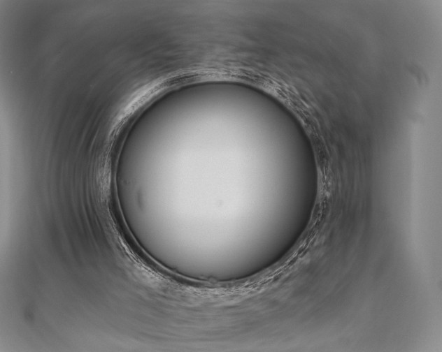 X0000110740005200906151113