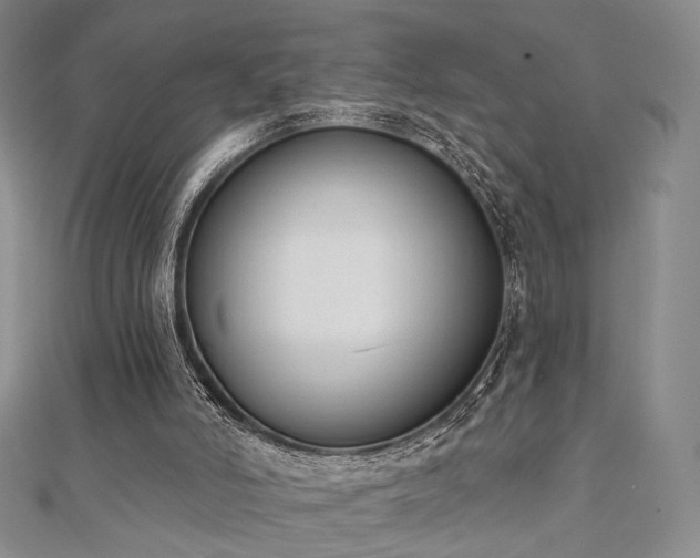 X0000110740006200906151113