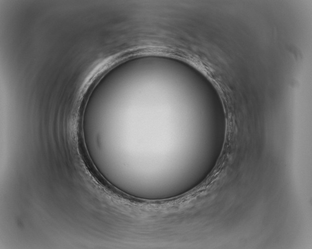X0000110740007200906151113