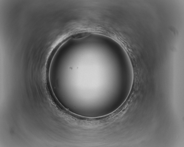 X0000110740008200906151113