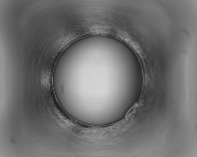 X0000110740009200906151113