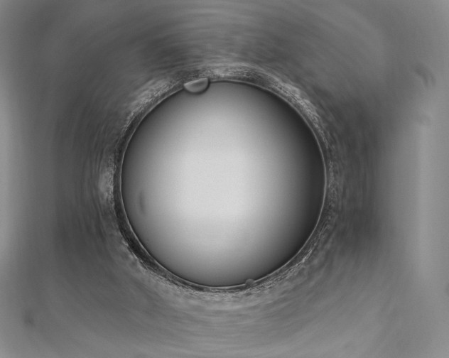 X0000110740010200906151113