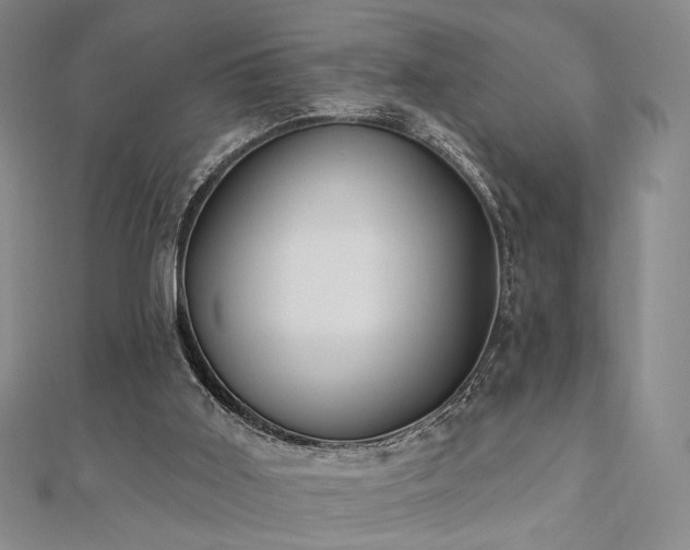 X0000110740011200906151113