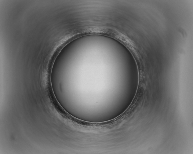 X0000110740012200906151113