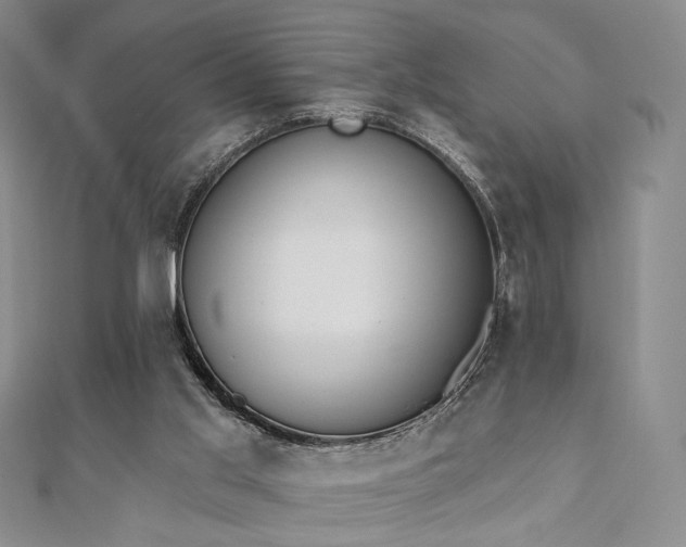 X0000110740013200906151113