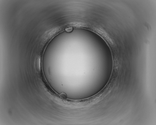 X0000110740014200906151113