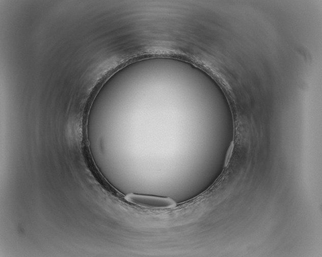 X0000110740015200906151113