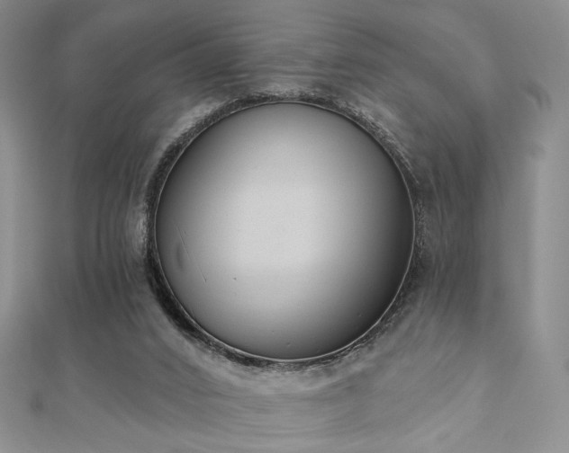 X0000110740016200906151113