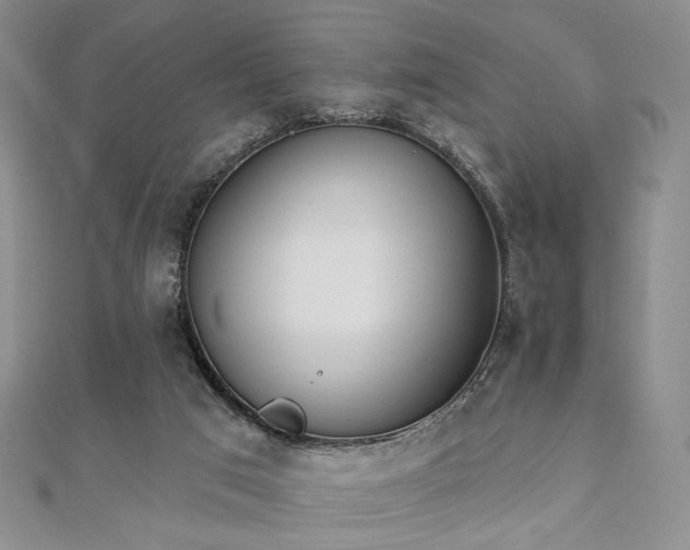 X0000110740017200906151113