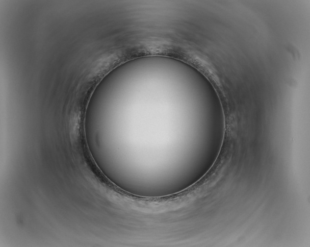 X0000110740018200906151113