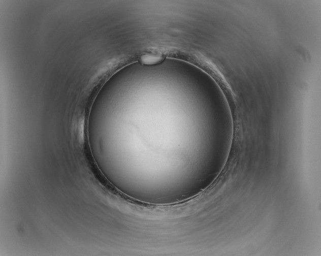 X0000110740019200906151113