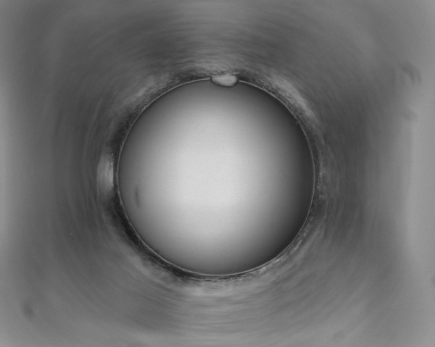 X0000110740021200906151113