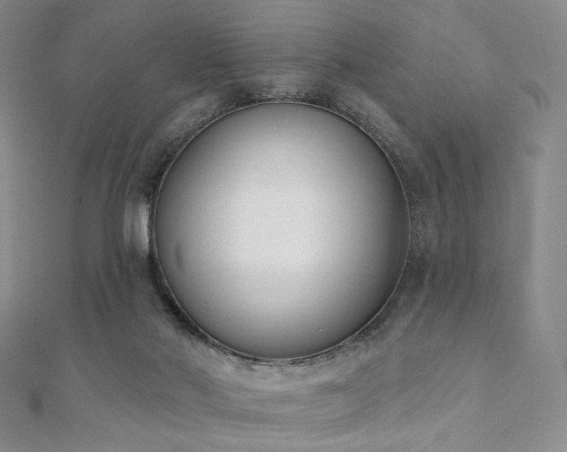 X0000110740022200906151113