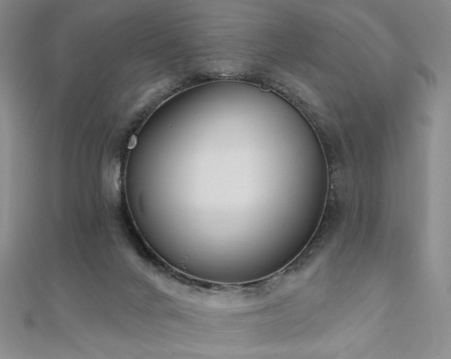 X0000110740024200906151113