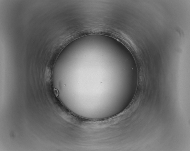 X0000110740025200906151113