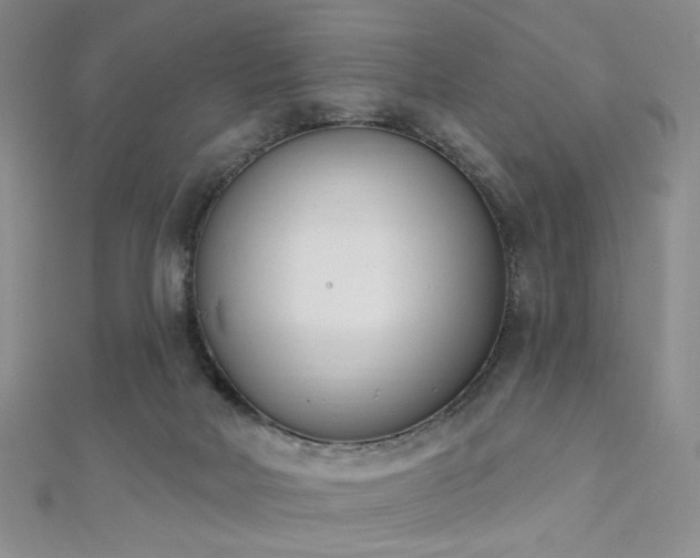 X0000110740026200906151113