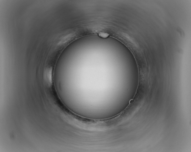 X0000110740028200906151112