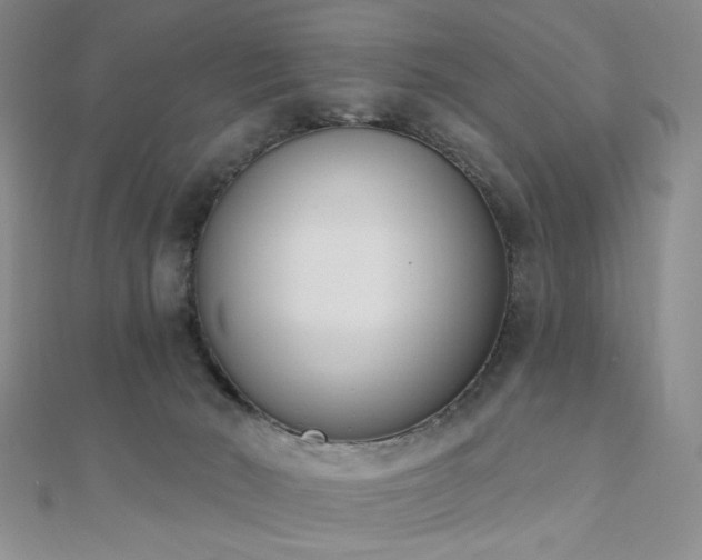 X0000110740030200906151112