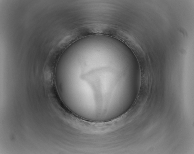 X0000110740031200906151112