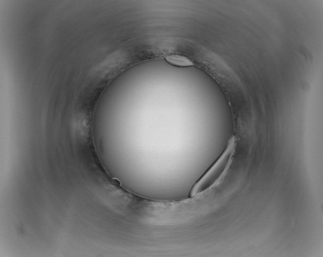 X0000110740037200906151112
