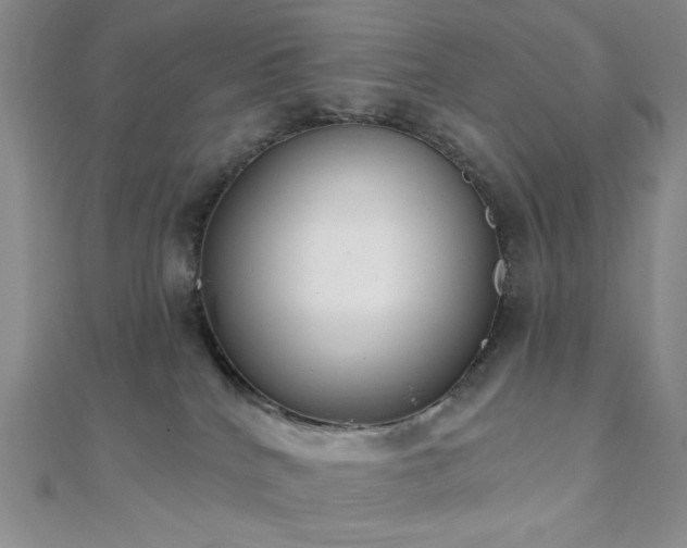 X0000110740040200906151112