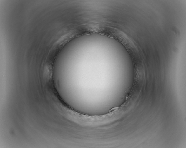 X0000110740043200906151112