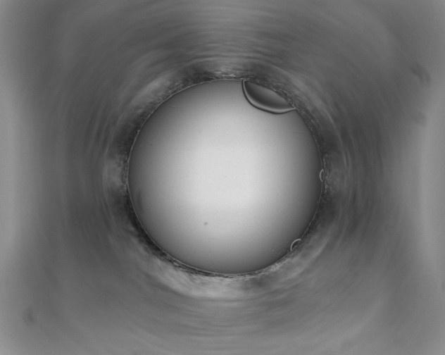 X0000110740044200906151112