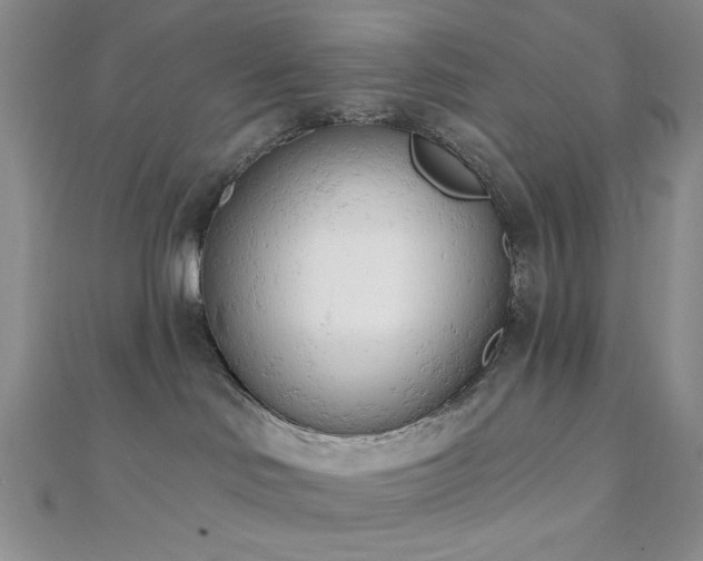 X0000110740046200906151112