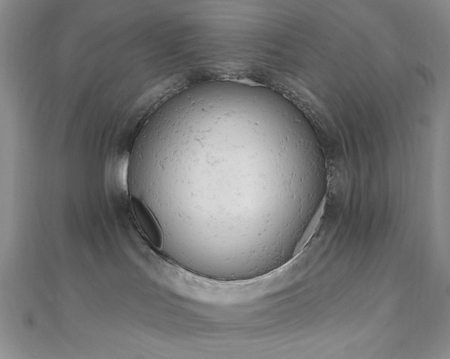 X0000110740047200906151112