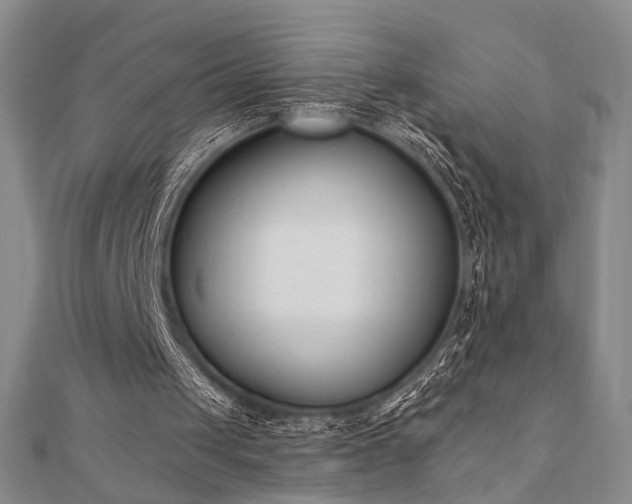 X0000110740049200906151112