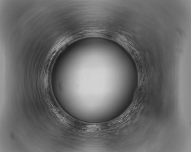 X0000110740050200906151112